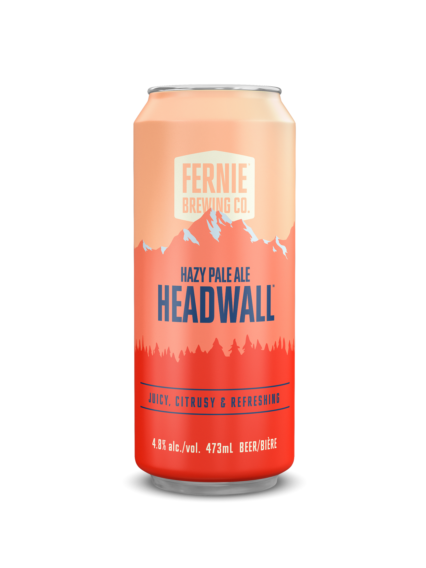 Headwall™ Hazy Pale Ale Single Can
